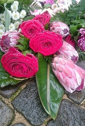 Image chosen by user