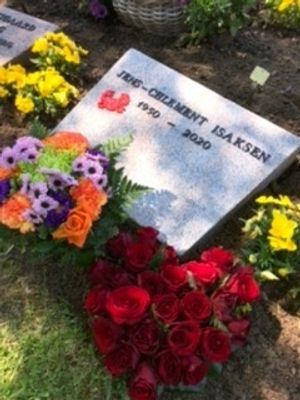 Image chosen by user