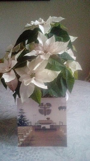 Image chosen by user