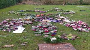 Image chosen by user