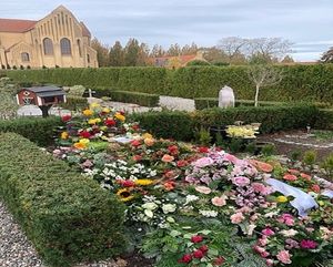 Image chosen by user