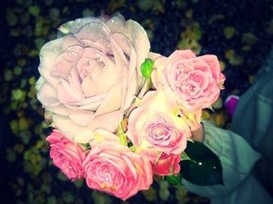 Image chosen by user