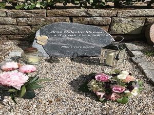 Image chosen by user