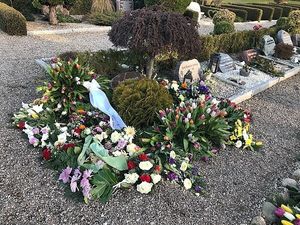 Image chosen by user