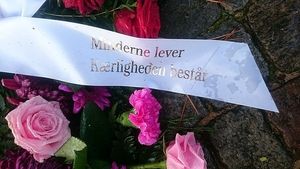 Image chosen by user