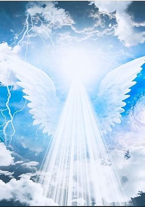 Image chosen by user