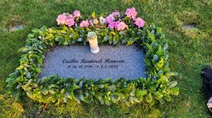 Image chosen by user