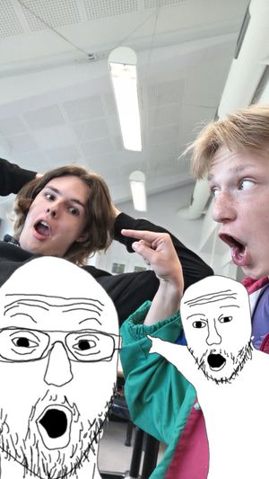 Image chosen by user