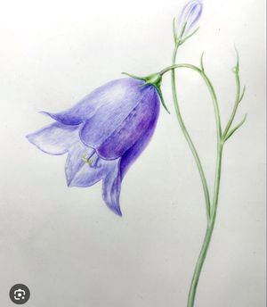 Brugervalgt billede