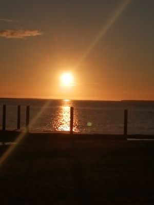 Image chosen by user