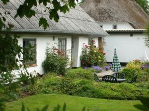 Image chosen by user