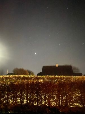 Image chosen by user