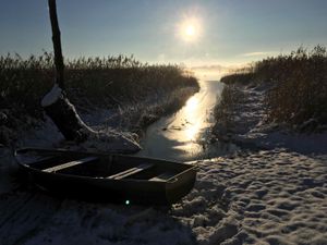 Image chosen by user