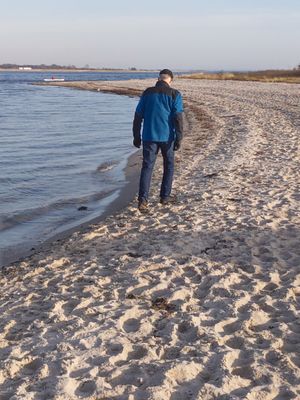 Image chosen by user