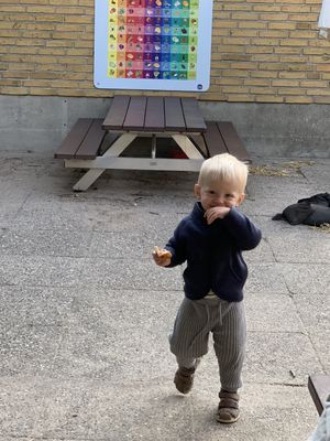 Image chosen by user