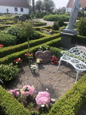 Image chosen by user