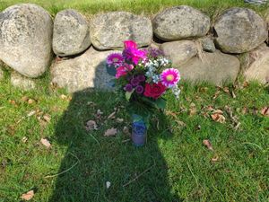 Image chosen by user