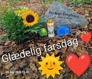 Brugervalgt billede