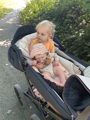 Image chosen by user