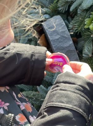 Image chosen by user