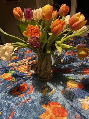 Image chosen by user