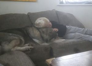 Image chosen by user