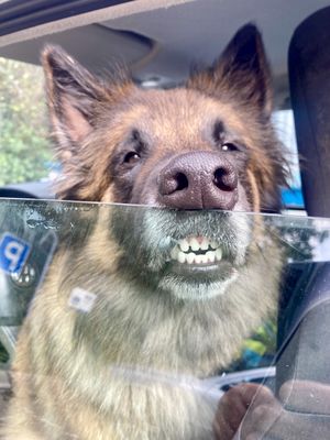 Image chosen by user