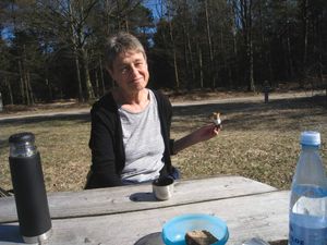 Image chosen by user