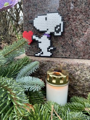 Image chosen by user