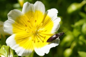 Image chosen by user