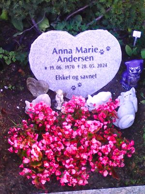 Image chosen by user