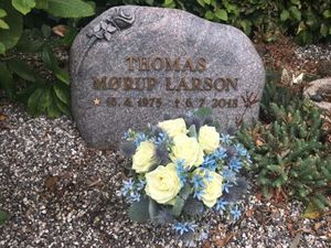 Image chosen by user