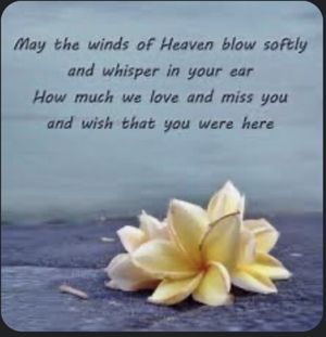 Image chosen by user