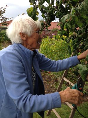 Image chosen by user