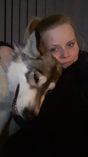 Image chosen by user