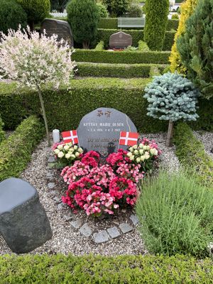 Image chosen by user