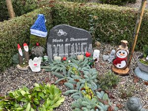 Image chosen by user