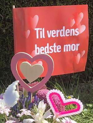 Image chosen by user