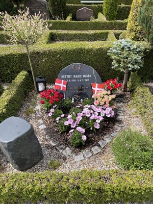 Image chosen by user