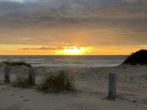 Image chosen by user