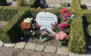 Image chosen by user