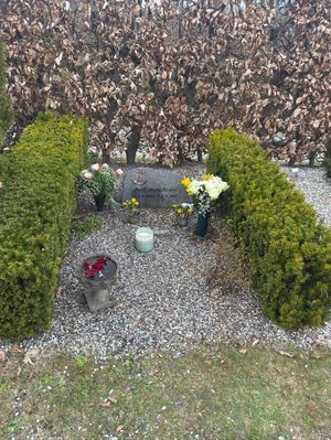 Image chosen by user