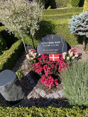 Image chosen by user