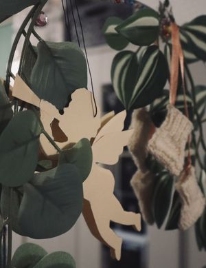 Image chosen by user