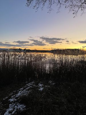 Image chosen by user