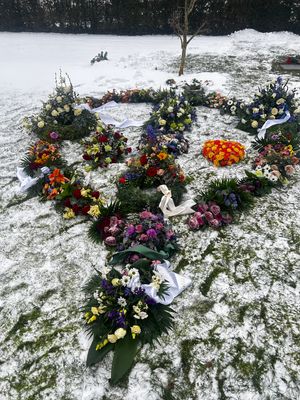 Image chosen by user