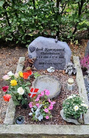 Image chosen by user