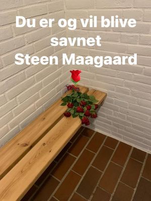 Brugervalgt billede