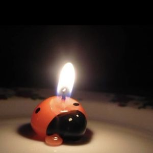 Image chosen by user