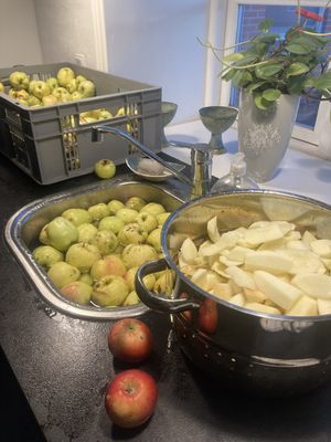 Image chosen by user